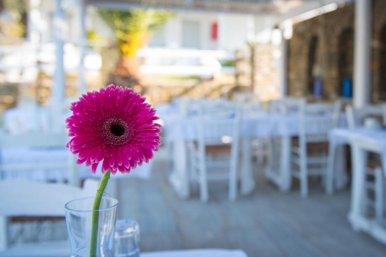 Villa Irini Platis Gialos  Extérieur photo